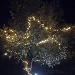 Cascina Borgofrancone