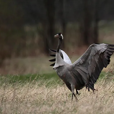Cascina Borgofrancone Apart-hotel Gera Lario