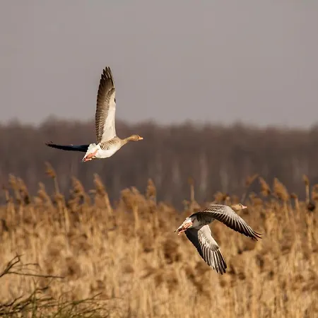 شقة فندقية Cascina Borgofrancone