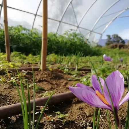 Cascina Borgofrancone מלון דירות 4*