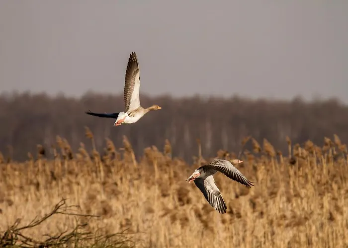 Апарт-отель Cascina Borgofrancone