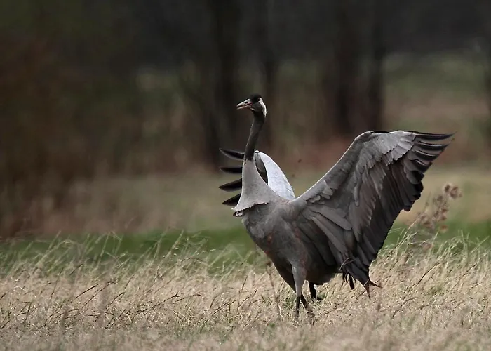 Cascina Borgofrancone Апарт-отель Джера-Ларио