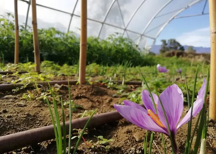 Cascina Borgofrancone 아파트호텔 4*