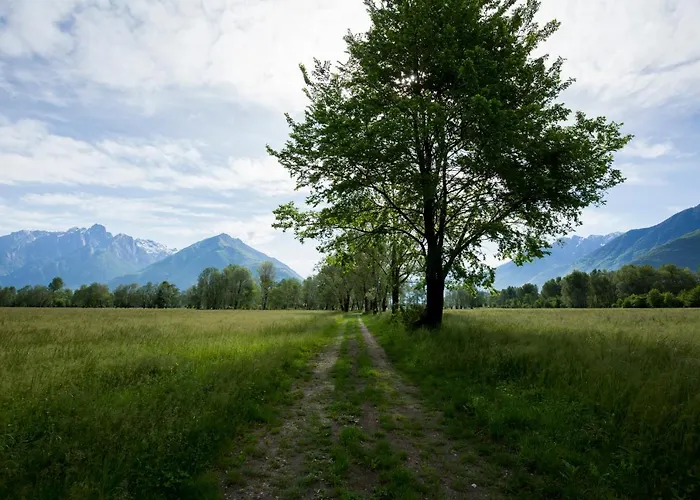 Апарт-отель Cascina Borgofrancone