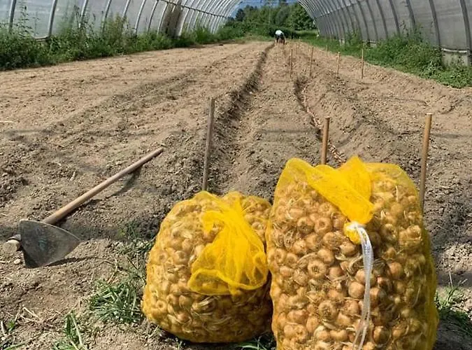 Cascina Borgofrancone